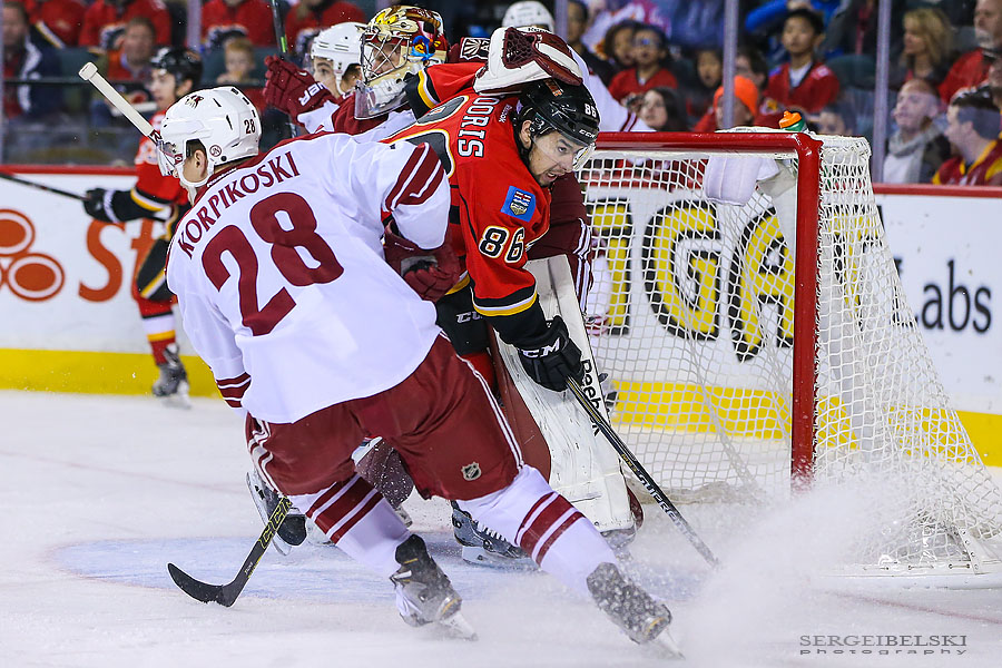 nhl hockey sergei belski photo