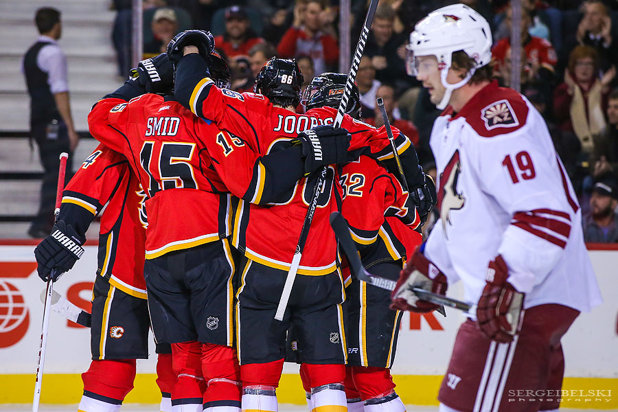 nhl hockey sergei belski photo