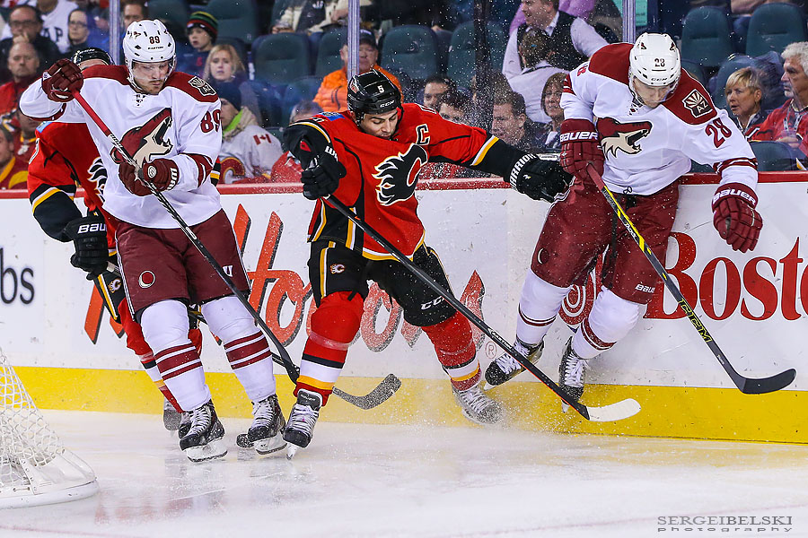 nhl hockey sergei belski photo