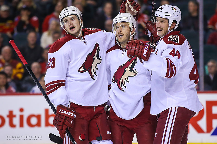 nhl hockey sergei belski photo