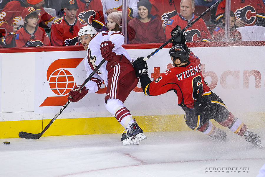 nhl hockey sergei belski photo