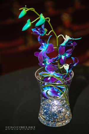 calgary event photographer sergei belski photo