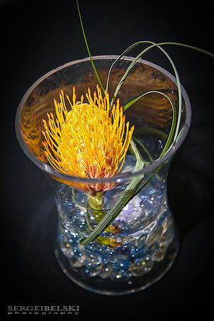 calgary event photographer sergei belski photo