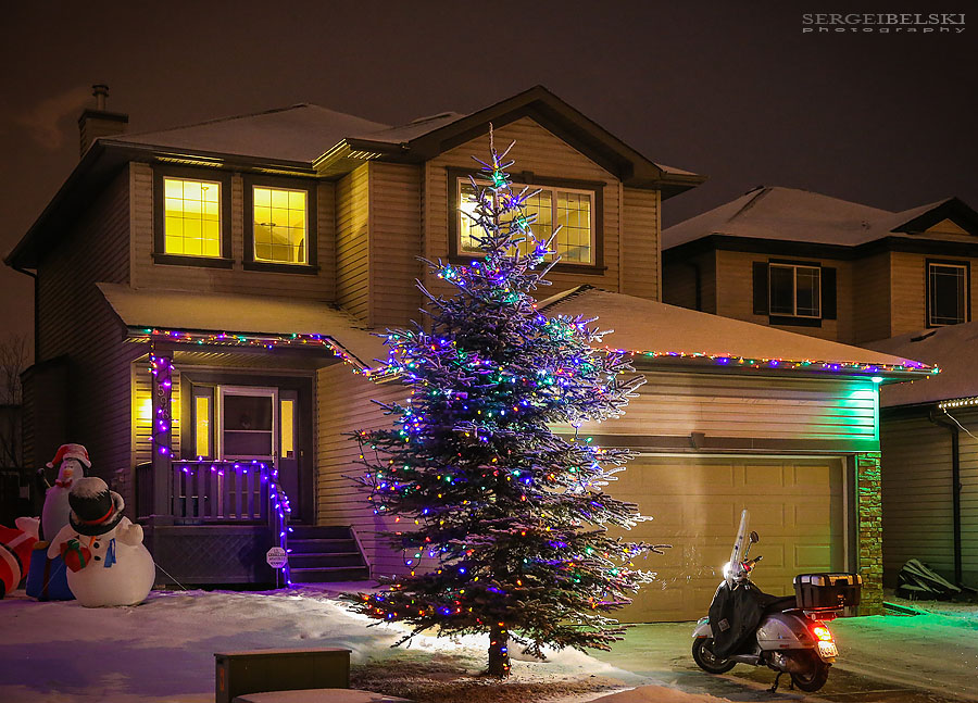 christmas home sergei belski photo