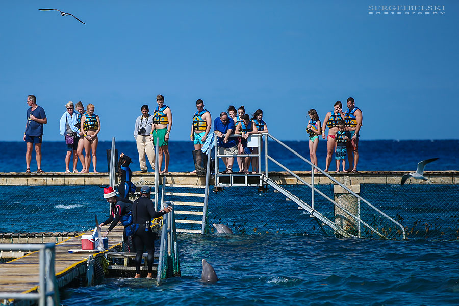 florida vacation travel photographer sergei belski photo