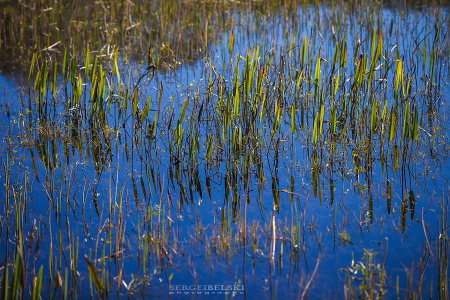 florida vacation travel photographer sergei belski photo