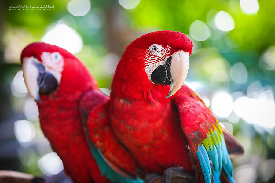 florida vacation travel photographer sergei belski photo