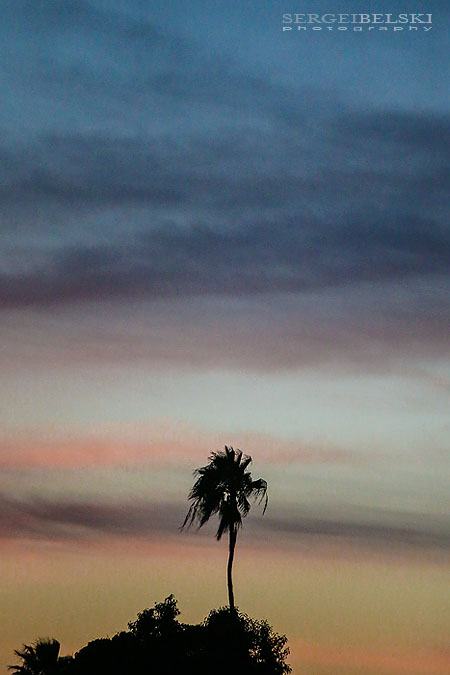 florida vacation travel photographer sergei belski photo