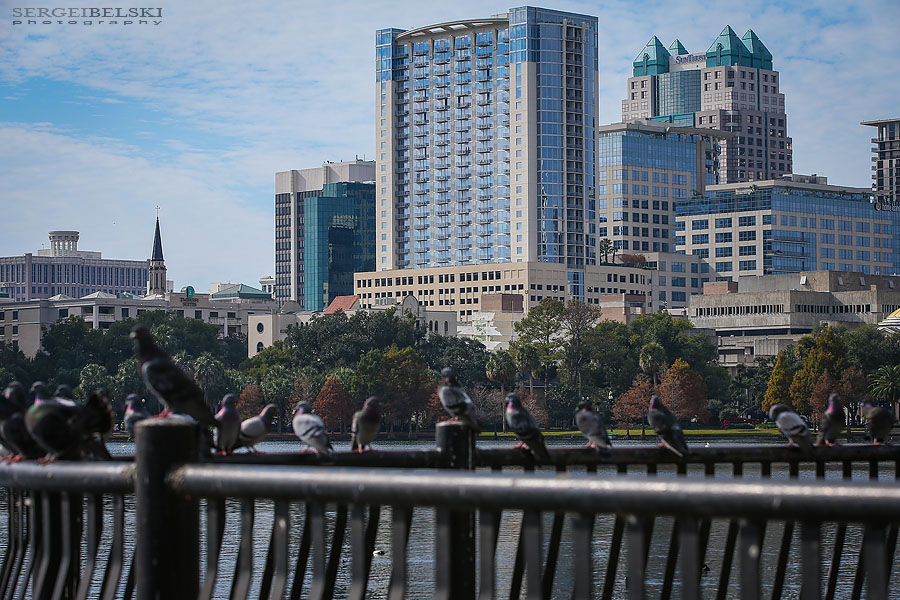 florida vacation travel photographer sergei belski photo