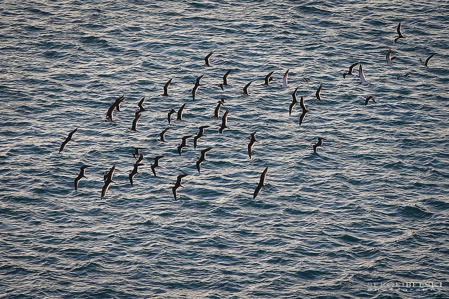 florida vacation travel photographer sergei belski photo