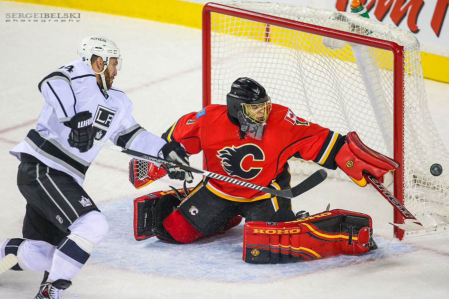 nhl hockey sergei belski photo