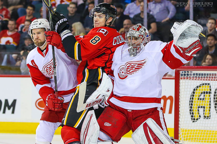 nhl hockey sergei belski photo