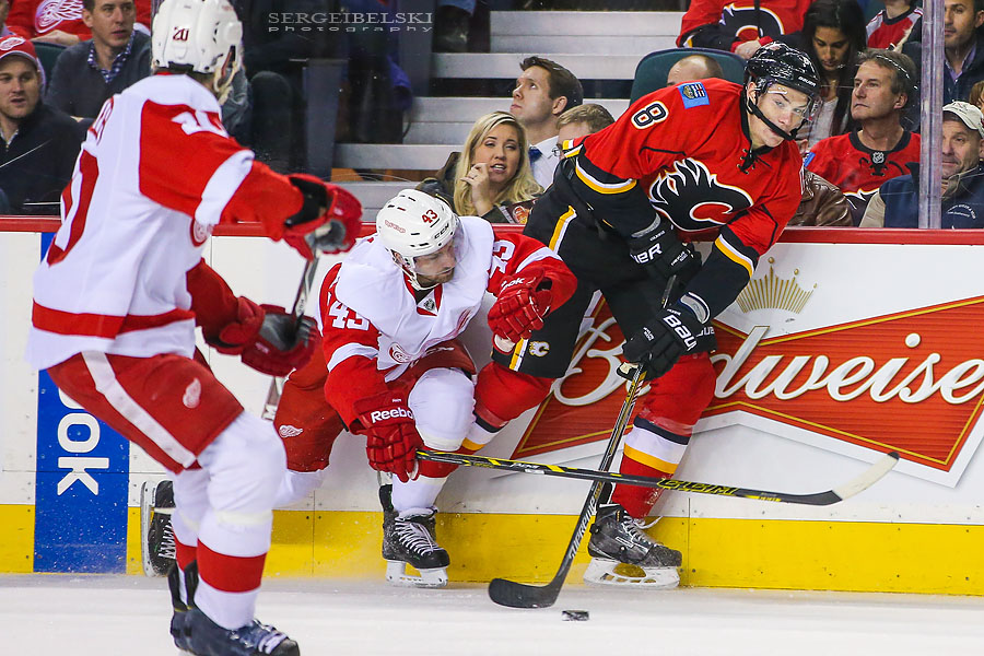 nhl hockey sergei belski photo