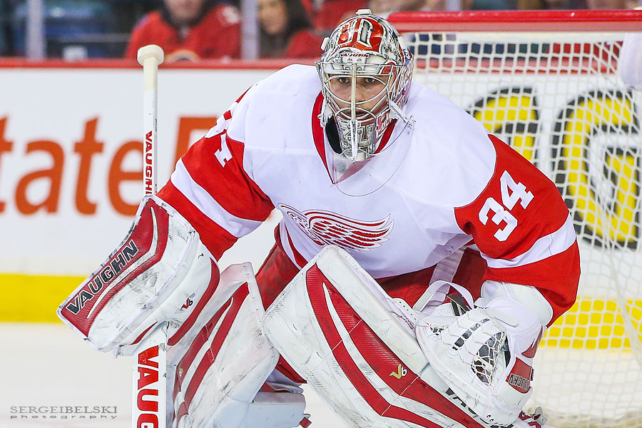 nhl hockey sergei belski photo