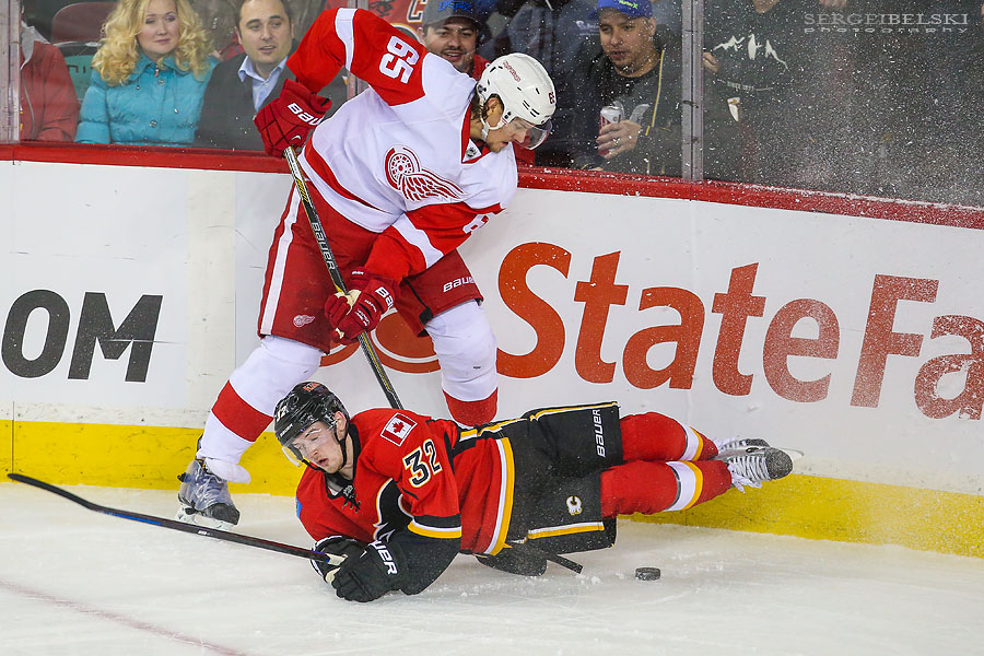 nhl hockey sergei belski photo