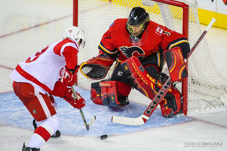 nhl hockey sergei belski photo