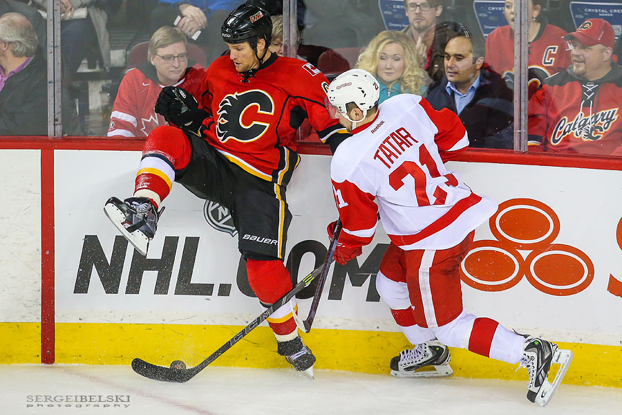 nhl hockey sergei belski photo