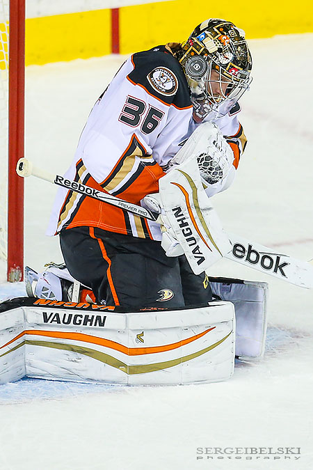 nhl hockey sports photographer sergei belski photo