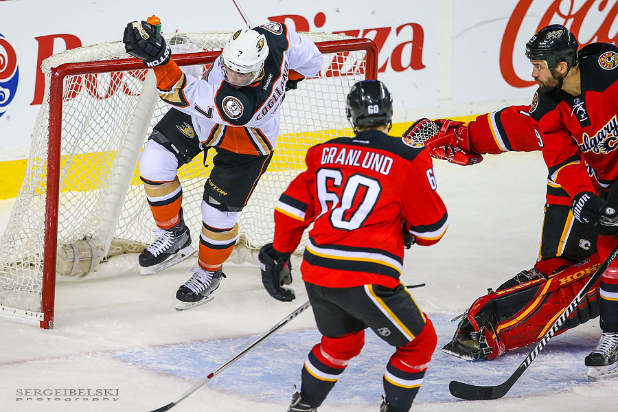 nhl hockey sports photographer sergei belski photo
