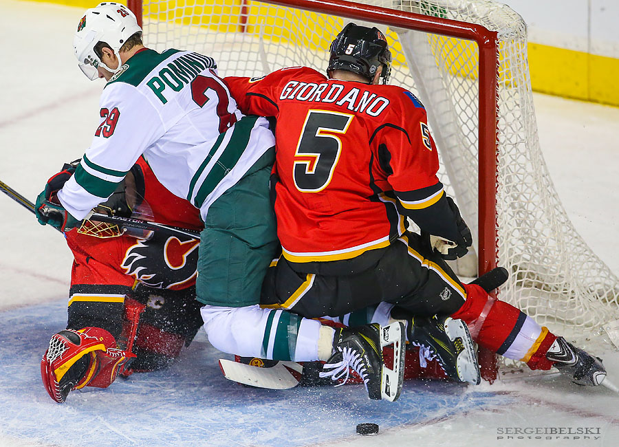 nhl hockey sergei belski photo