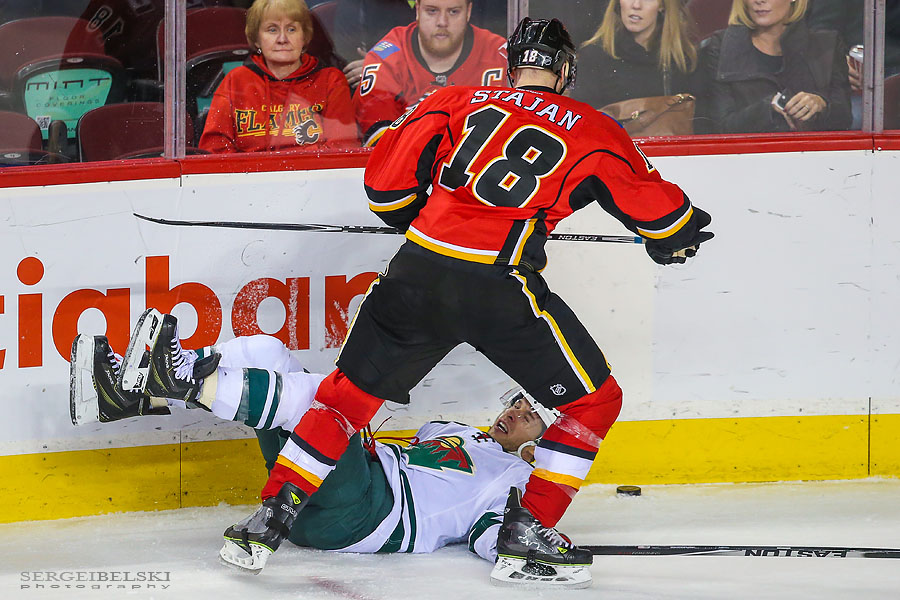 nhl hockey sergei belski photo