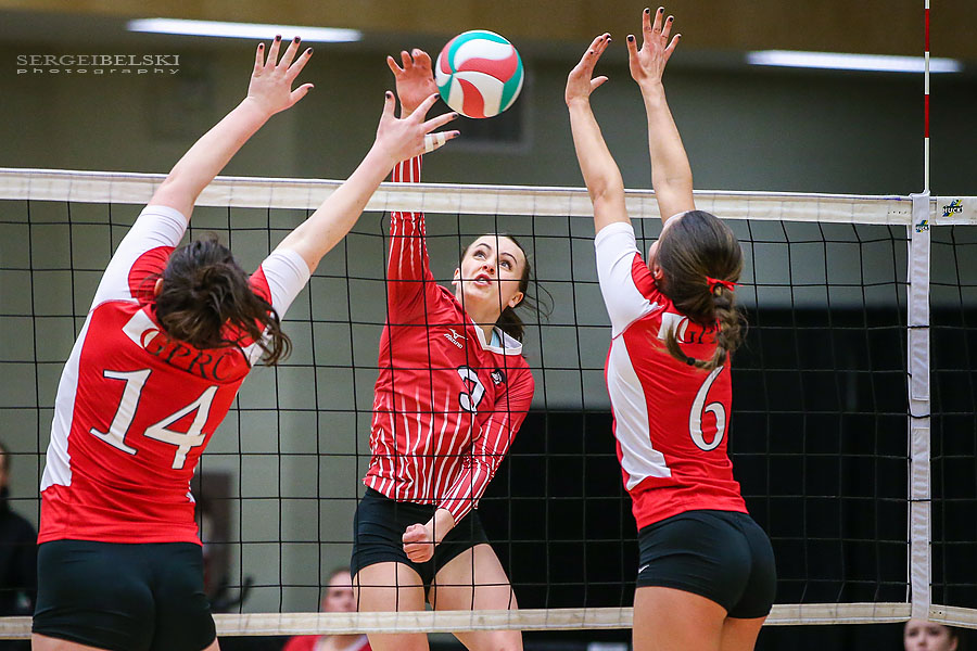 volleyball tournament sports photographer sergei belski photo