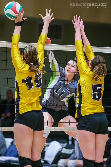 volleyball tournament sports photographer sergei belski photo