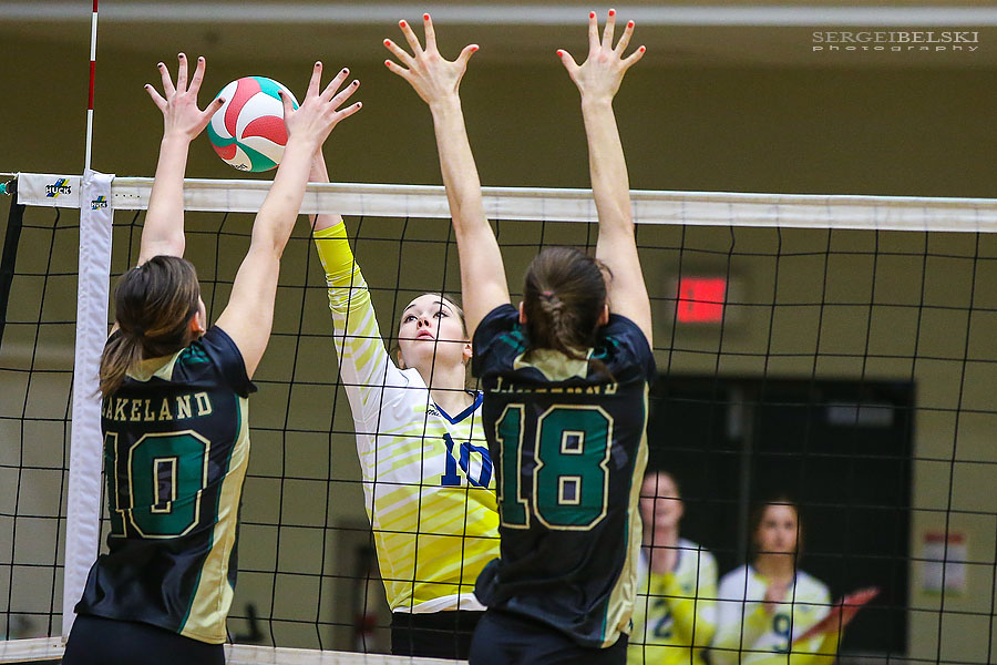 volleyball tournament sports photographer sergei belski photo