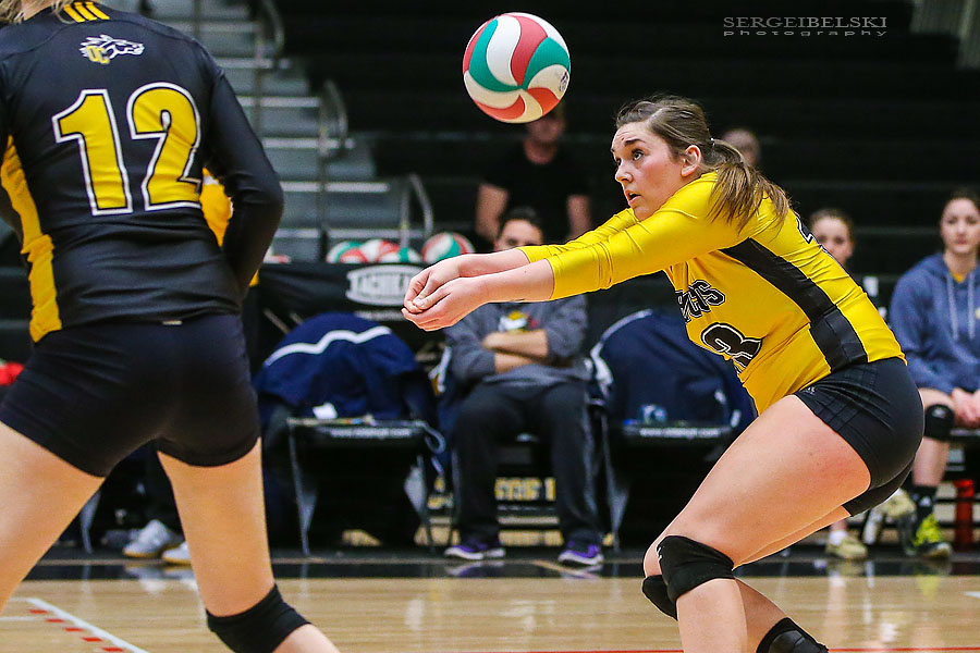 volleyball tournament sports photographer sergei belski photo