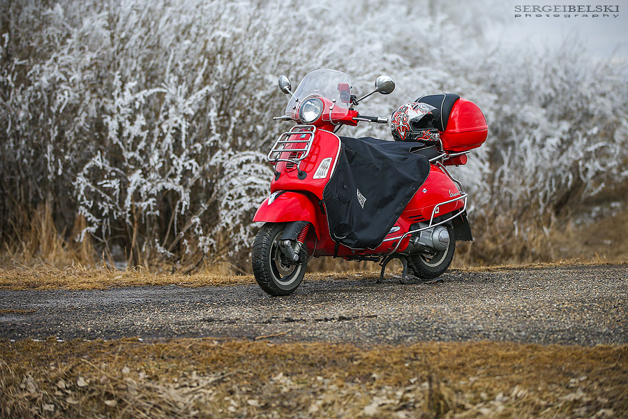 my vespa adventures photo