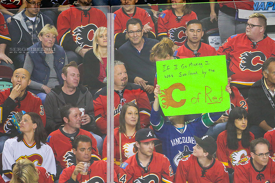 nhl hockey sports photographer sergei belski photo