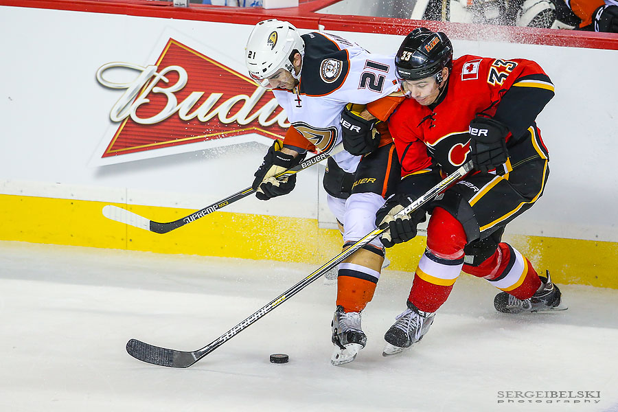nhl hockey sports photographer sergei belski photo