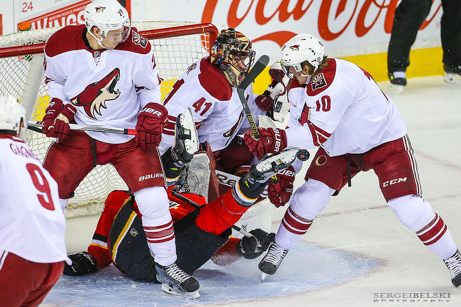 nhl hockey sports photographer sergei belski photo