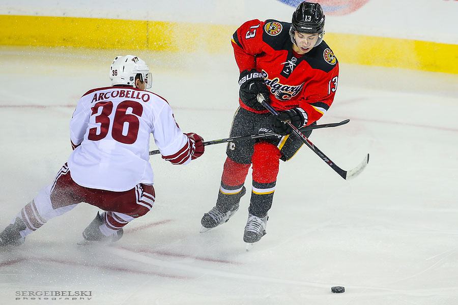 nhl hockey sports photographer sergei belski photo