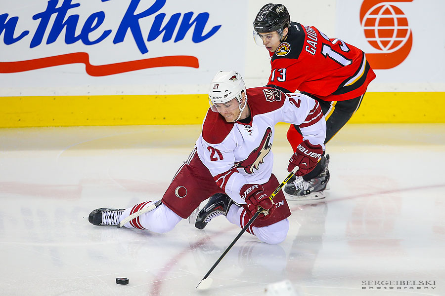 nhl hockey sports photographer sergei belski photo