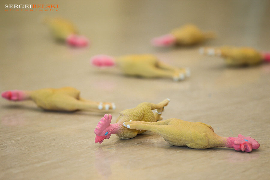 city of airdrie commercial photographer sergei belski photo