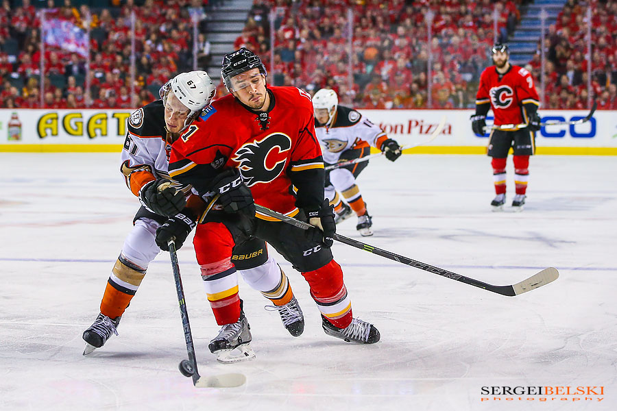 nhl hockey sports photographer sergei belski photo