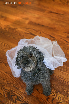 calgary wedding photographer sergei belski photo