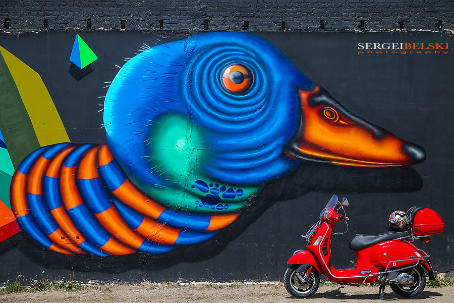 my vespa adventures photo