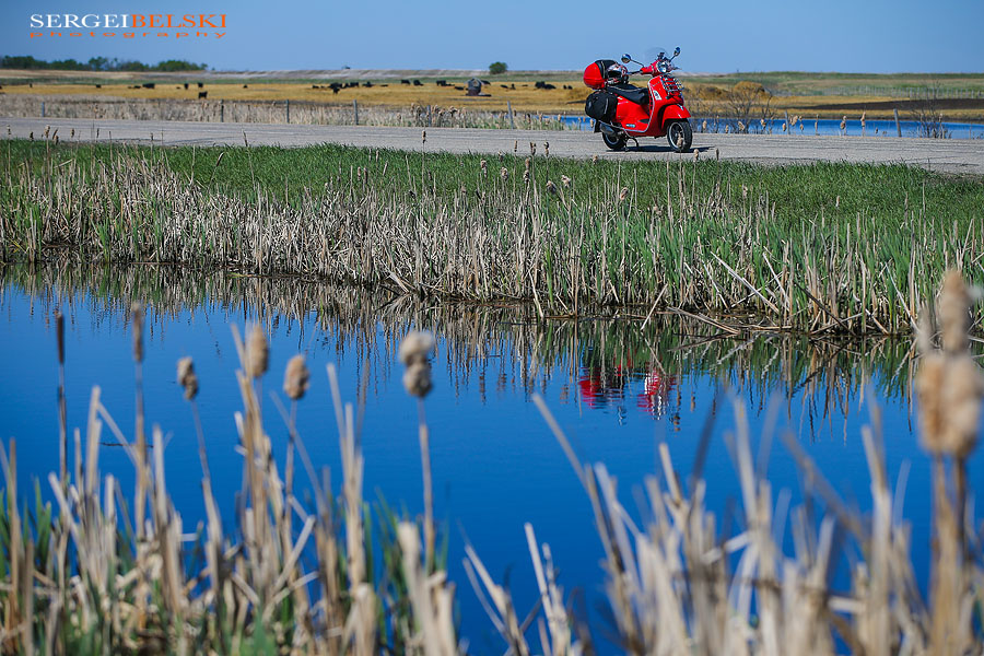 my vespa adventures photo