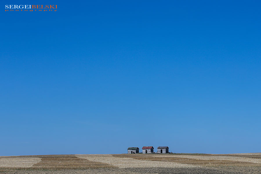 my vespa adventures photo