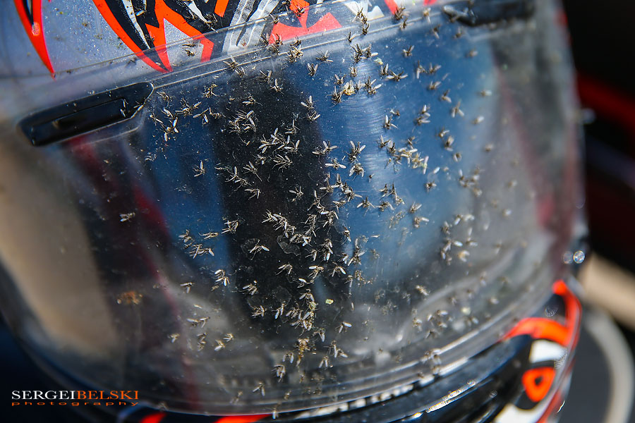 my vespa adventures photo