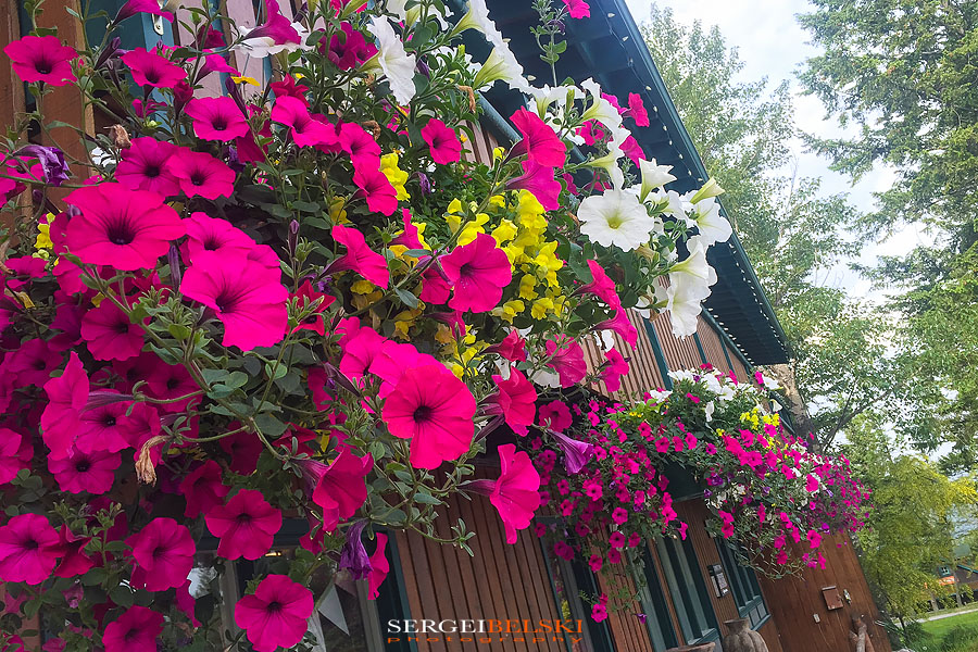 family hot springs trip travel photographer sergei belski photo