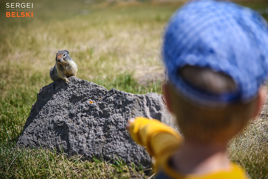 banff alberta sergei belski photo