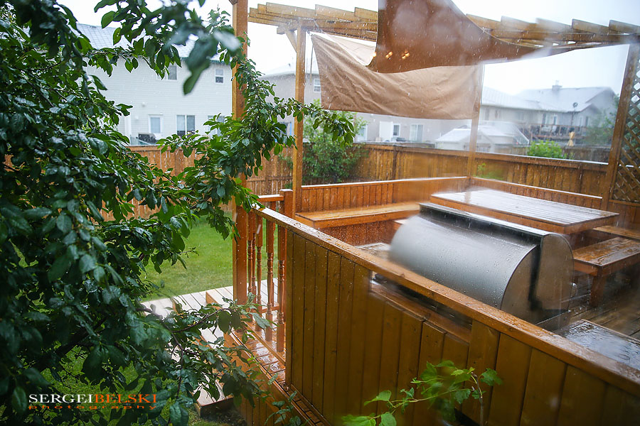 belski 8th annual bbq event sergei belski photo