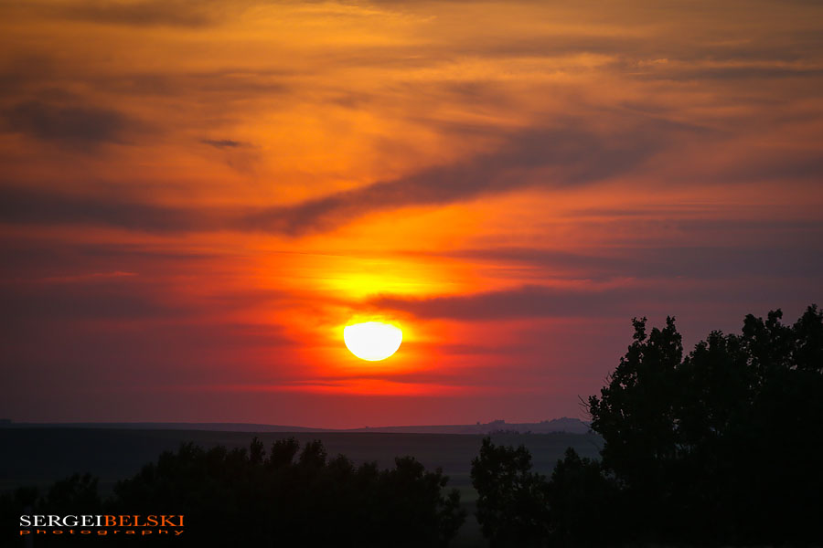 stampede calgary sergei belski photo