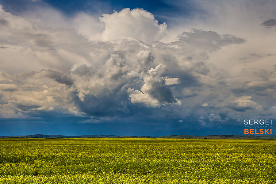 fortis alberta commercial sergei belski photo