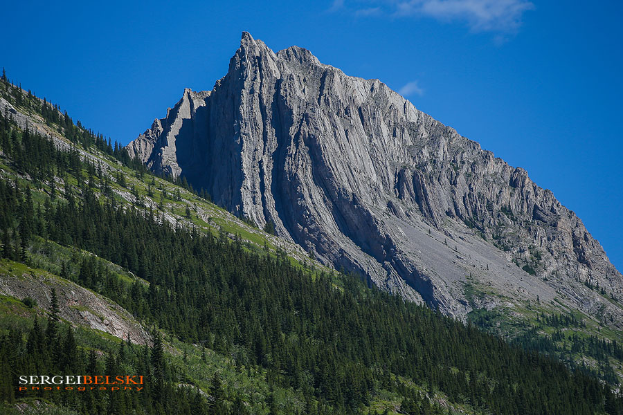 my vespa adventures photo