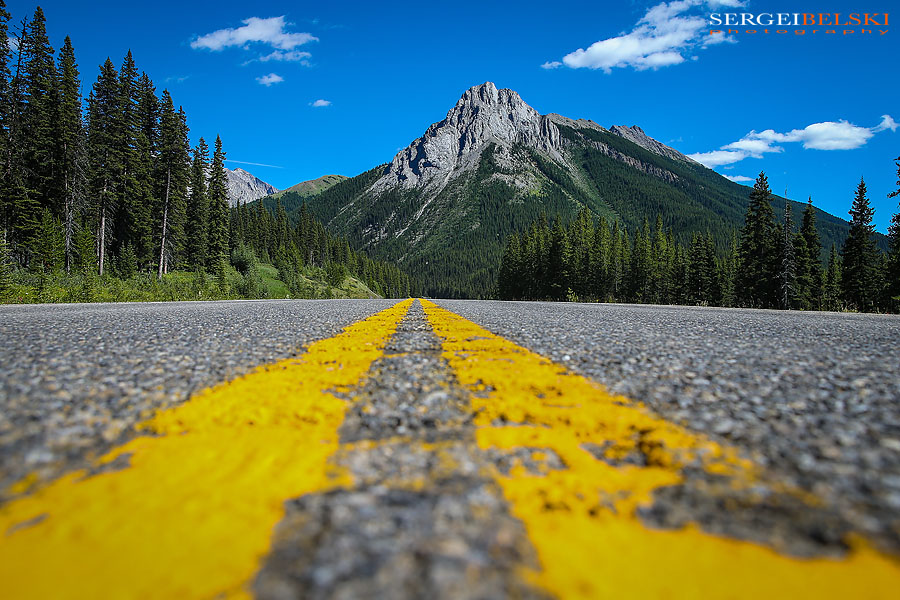 my vespa adventures photo