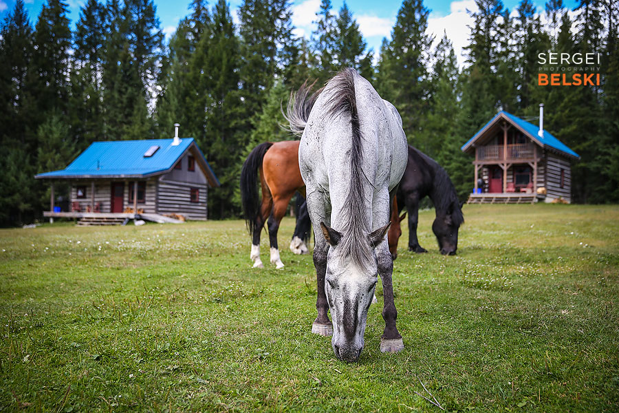 bc wedding photographer sergei belski photo